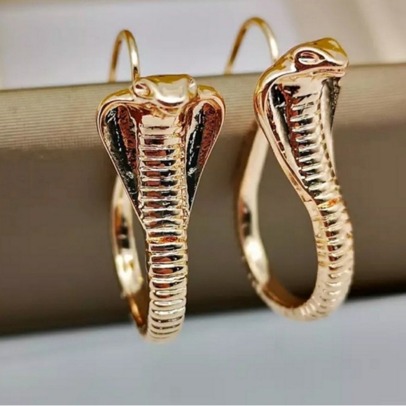 🎀Snake Drop Earings - Picture 7 of 8